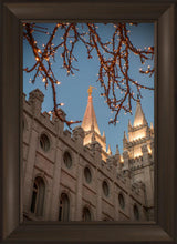 Load image into Gallery viewer, Salt Lake City Temple He Giveth Light
