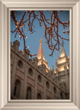 Load image into Gallery viewer, Salt Lake City Temple He Giveth Light
