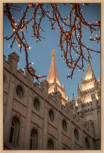 Load image into Gallery viewer, Salt Lake City Temple He Giveth Light Gallery Wrap
