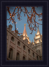 Load image into Gallery viewer, Salt Lake City Temple He Giveth Light
