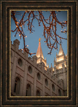 Load image into Gallery viewer, Salt Lake City Temple He Giveth Light
