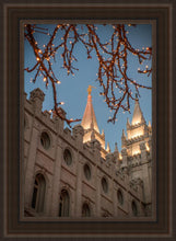 Load image into Gallery viewer, Salt Lake City Temple He Giveth Light
