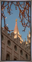 Load image into Gallery viewer, Salt Lake City Temple He Giveth Light Gallery Wrap
