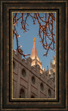 Load image into Gallery viewer, Salt Lake City Temple He Giveth Light
