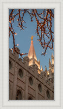 Load image into Gallery viewer, Salt Lake City Temple He Giveth Light
