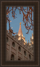 Load image into Gallery viewer, Salt Lake City Temple He Giveth Light
