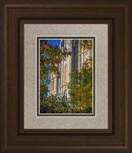 Load image into Gallery viewer, Salt Lake City Temple His Declaration

