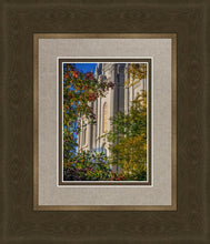Load image into Gallery viewer, Salt Lake City Temple His Declaration
