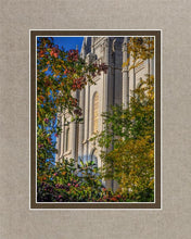 Load image into Gallery viewer, Salt Lake City Temple His Declaration
