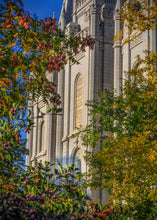 Load image into Gallery viewer, Salt Lake City Temple His Declaration
