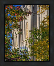 Load image into Gallery viewer, Salt Lake City Temple His Declaration Gallery Wrap
