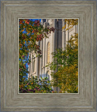 Load image into Gallery viewer, Salt Lake City Temple His Declaration
