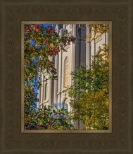 Load image into Gallery viewer, Salt Lake City Temple His Declaration
