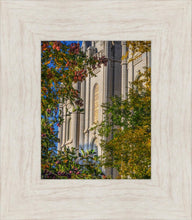 Load image into Gallery viewer, Salt Lake City Temple His Declaration
