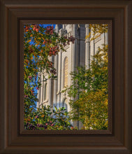 Load image into Gallery viewer, Salt Lake City Temple His Declaration
