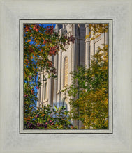 Load image into Gallery viewer, Salt Lake City Temple His Declaration
