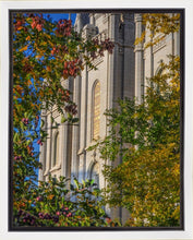 Load image into Gallery viewer, Salt Lake City Temple His Declaration Gallery Wrap
