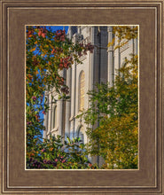 Load image into Gallery viewer, Salt Lake City Temple His Declaration
