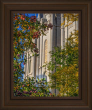 Load image into Gallery viewer, Salt Lake City Temple His Declaration
