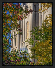 Load image into Gallery viewer, Salt Lake City Temple His Declaration Gallery Wrap
