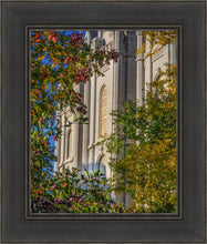 Load image into Gallery viewer, Salt Lake City Temple His Declaration
