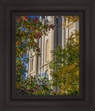 Load image into Gallery viewer, Salt Lake City Temple His Declaration
