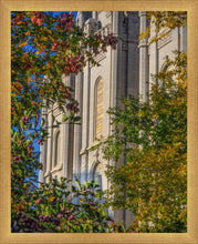Load image into Gallery viewer, Salt Lake City Temple His Declaration

