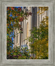 Load image into Gallery viewer, Salt Lake City Temple His Declaration
