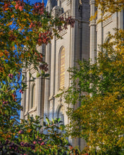 Load image into Gallery viewer, Salt Lake City Temple His Declaration
