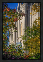 Load image into Gallery viewer, Salt Lake City Temple His Declaration Gallery Wrap
