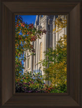 Load image into Gallery viewer, Salt Lake City Temple His Declaration
