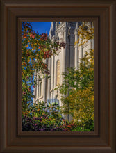 Load image into Gallery viewer, Salt Lake City Temple His Declaration

