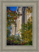 Load image into Gallery viewer, Salt Lake City Temple His Declaration
