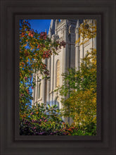 Load image into Gallery viewer, Salt Lake City Temple His Declaration
