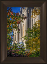 Load image into Gallery viewer, Salt Lake City Temple His Declaration
