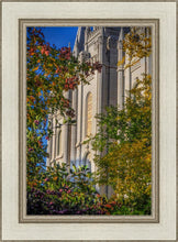Load image into Gallery viewer, Salt Lake City Temple His Declaration
