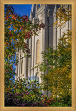 Load image into Gallery viewer, Salt Lake City Temple His Declaration

