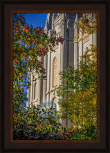 Load image into Gallery viewer, Salt Lake City Temple His Declaration
