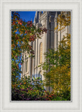 Load image into Gallery viewer, Salt Lake City Temple His Declaration
