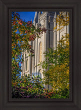 Load image into Gallery viewer, Salt Lake City Temple His Declaration
