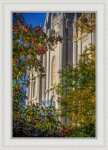 Load image into Gallery viewer, Salt Lake City Temple His Declaration
