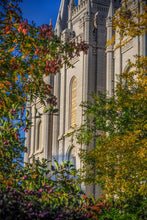 Load image into Gallery viewer, Salt Lake City Temple His Declaration
