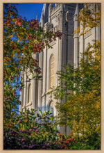 Load image into Gallery viewer, Salt Lake City Temple His Declaration Gallery Wrap
