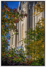Load image into Gallery viewer, Salt Lake City Temple His Declaration Gallery Wrap
