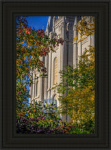 Load image into Gallery viewer, Salt Lake City Temple His Declaration
