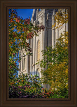 Load image into Gallery viewer, Salt Lake City Temple His Declaration
