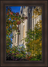 Load image into Gallery viewer, Salt Lake City Temple His Declaration
