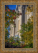 Load image into Gallery viewer, Salt Lake City Temple His Declaration
