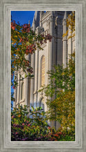 Load image into Gallery viewer, Salt Lake City Temple His Declaration

