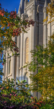 Load image into Gallery viewer, Salt Lake City Temple His Declaration
